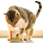 Hund Katze B.A.R.F. Hundefutter Nahrungsergänzungen Snacks Hühnersuppe 80g 1 Stück -2- Anifit